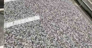 酒泉 芙蓉白光面