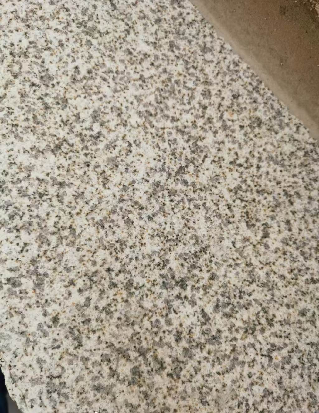 酒泉 黄金麻中黄光面