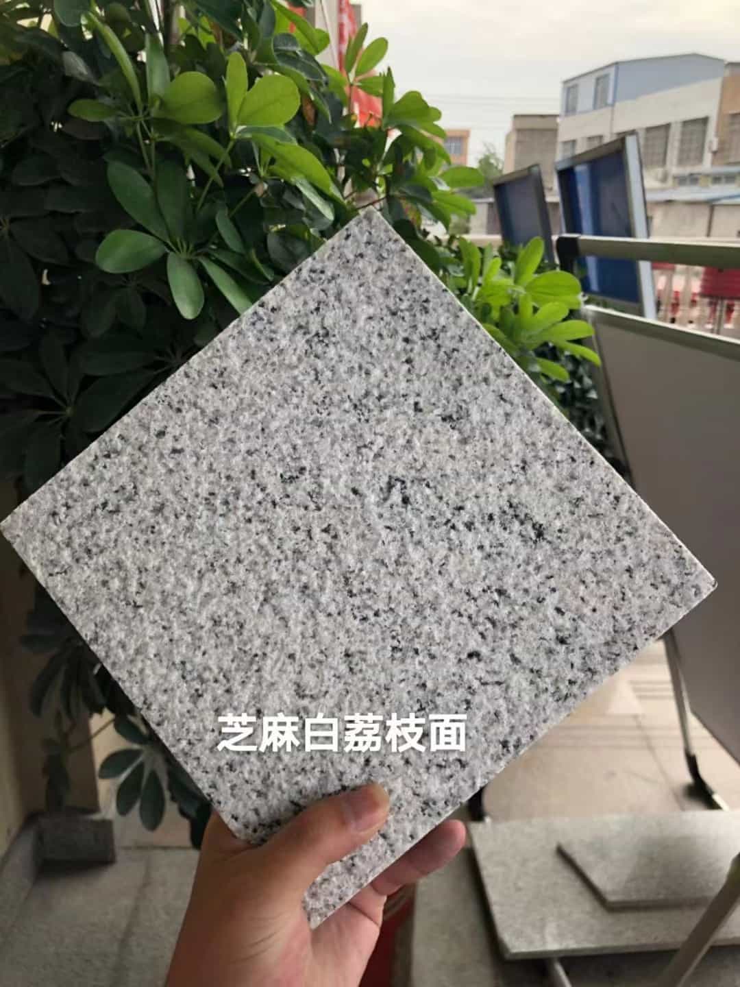酒泉 芝麻白荔枝面干挂