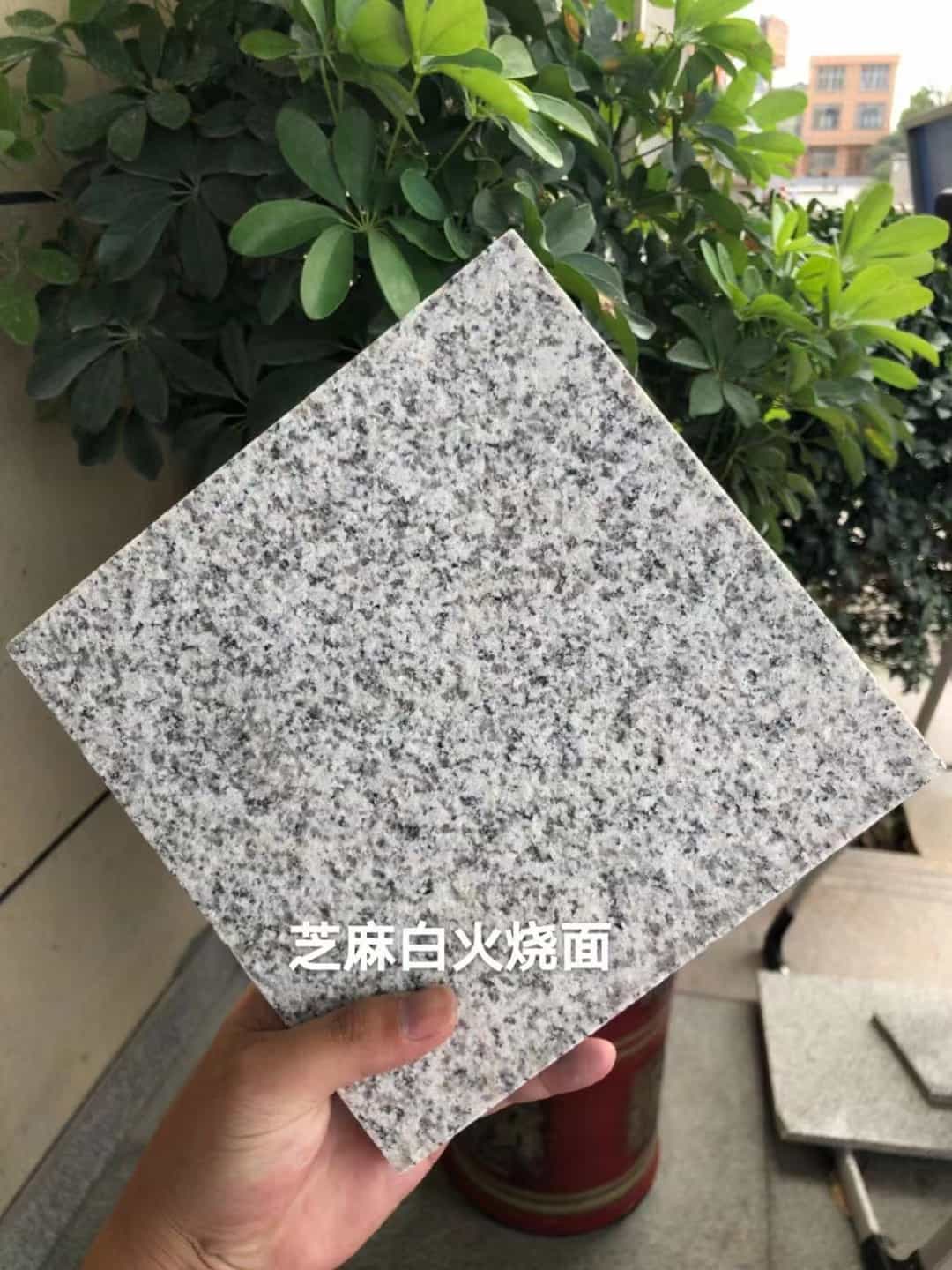 酒泉芝麻白火烧面地铺